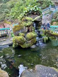 Where the Buddha Watches the Sky: Evening Magic at Genting