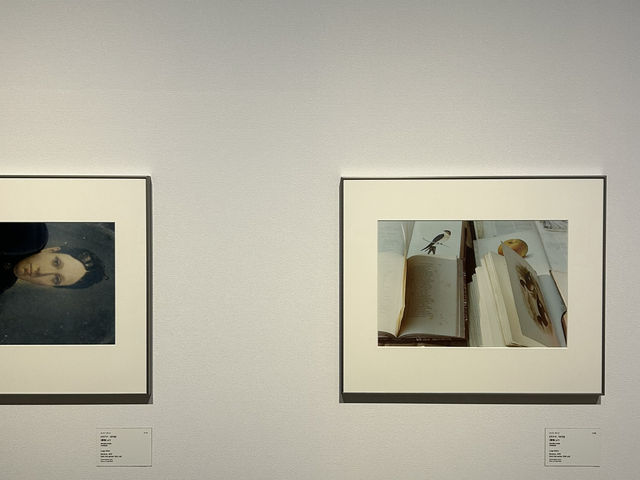 【東京・恵比寿】東京都写真美術館　ルイジ・ギッリ