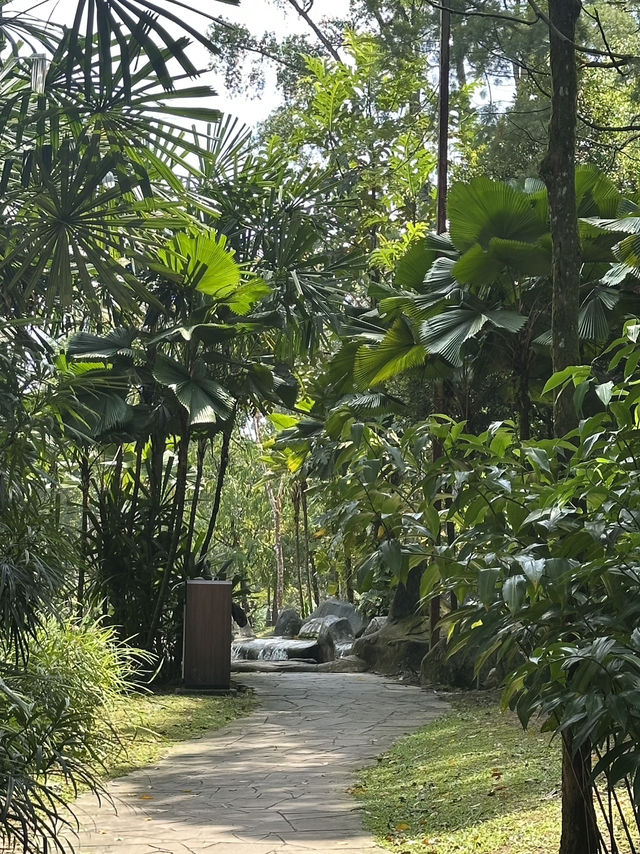 Oasis Garden: Sunday Blooming Like My Excuses