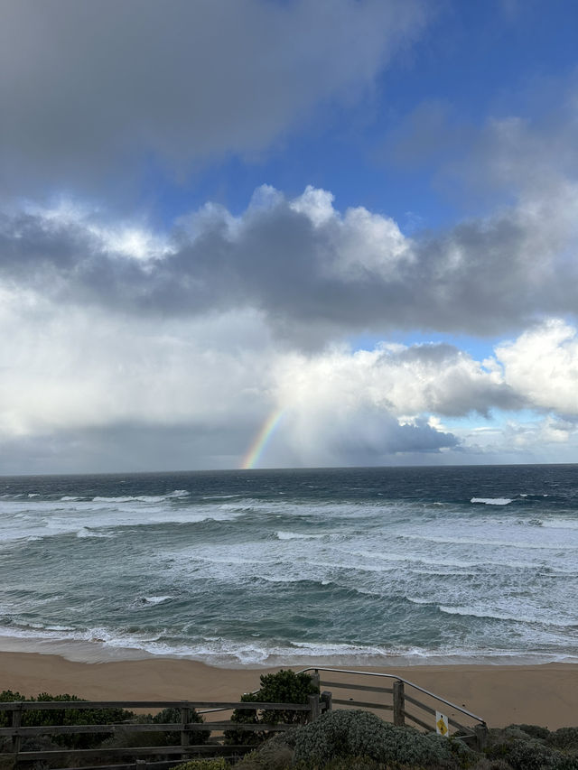 Melbourne - Great Ocean Drive / Yarra Valley / Healesville