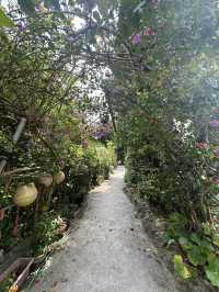 Peaceful Escape in Northern Okinawa - Bise Village & Emerald Beach