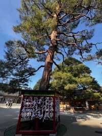岩沼市に鎮座する 竹駒神社へ行くべき理由を5つご紹介します✨