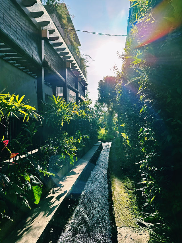 Serenity in Every Shade at Bliss Ubud Spa Resort