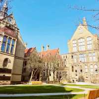 The university of manchester