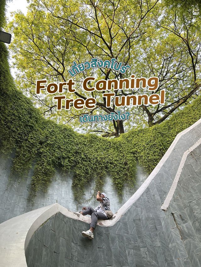Fort Canning Tree Tunnel สวยจนอยากไปซ้ำ!!!🍀🌳