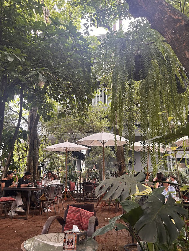 🌿 Fern Forest Café – ป่ากลางเมือง 