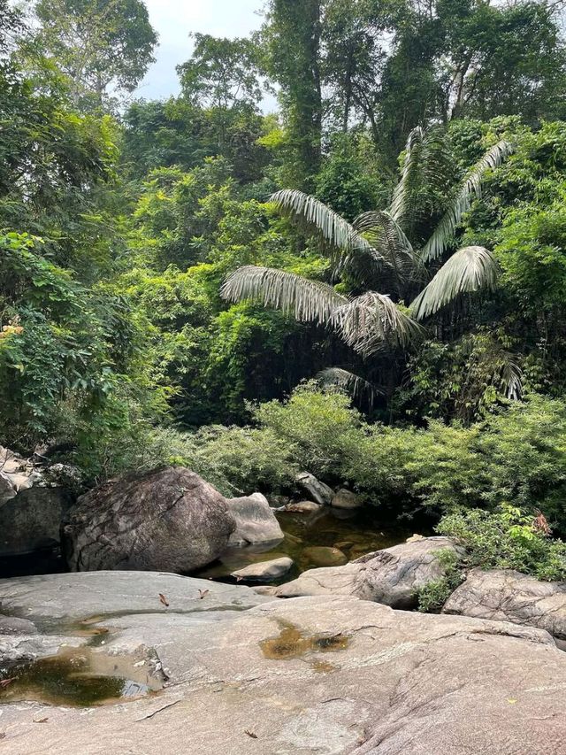Jungle Hike at Khao Chamao Waterfall 
