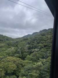房総館山巡り