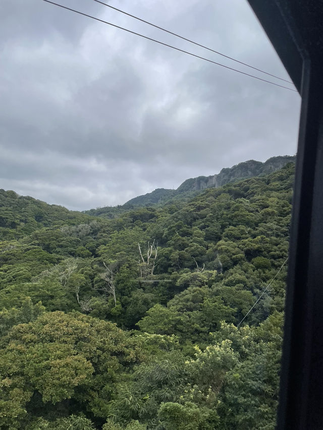 房総館山巡り