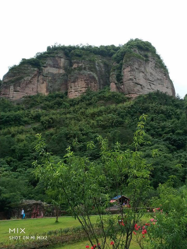 浙江必遊 莫干山 烏鎮 麗水