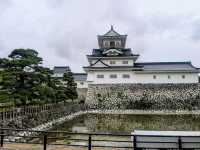 富山 | 富山城&城跡公園，瞭解富山鄉土歷史的好去處