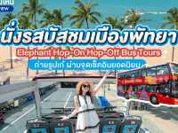 Elephant Hop-On Hop-Off Bus Tours
