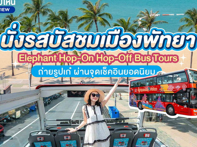 Elephant Hop-On Hop-Off Bus Tours