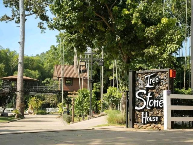 Tree Stone House