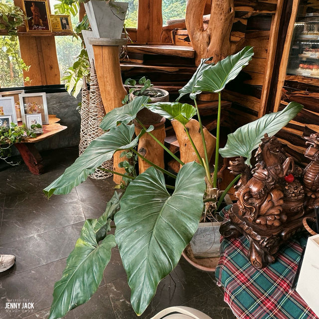 #คาเฟ่วิวภูเขา #เที่ยวเขาใหญ่ #คาเฟ่กลางหุบเขา