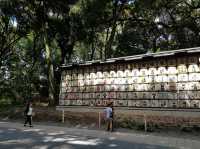 วัดเมจิ (Meiji Jingu) – ศาลเจ้าศักดิ์สิทธิ์