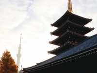 Senso-ji Temple