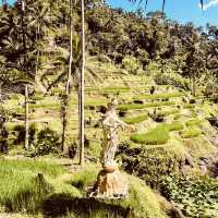 🌾✨ *Tegalalang Rice Terrace: Bali’s Iconic Emerald Staircase* ☀️🌿