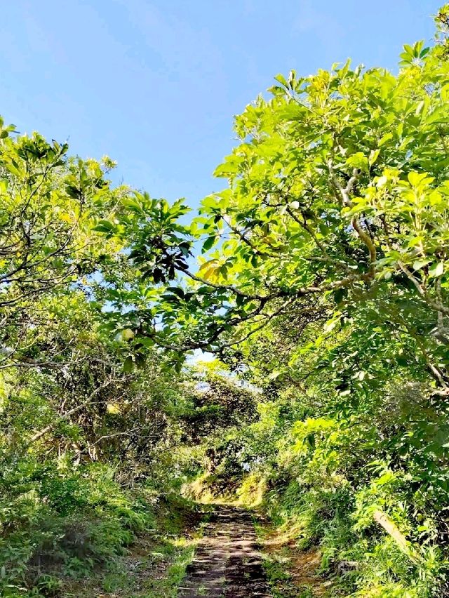 綠島過山步道