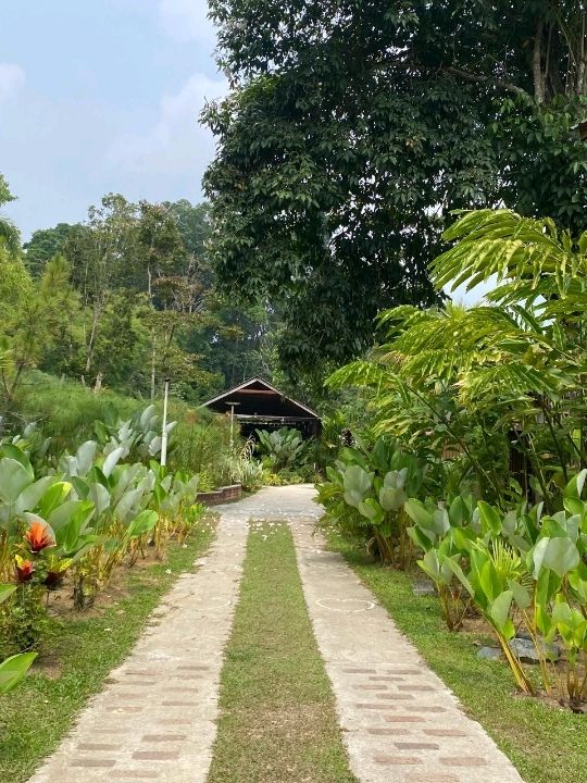 🌿 Wadi Amna, Janda Baik: A Tranquil Riverside Escape 🏡