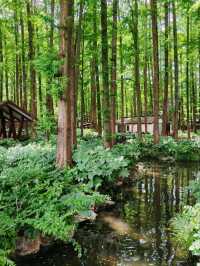 Skip the Crowds: Discover Quyuan Fenghe