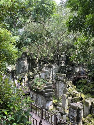 🌿 Jungle Devoured Temple: The Wild Majesty of Beng Mealea