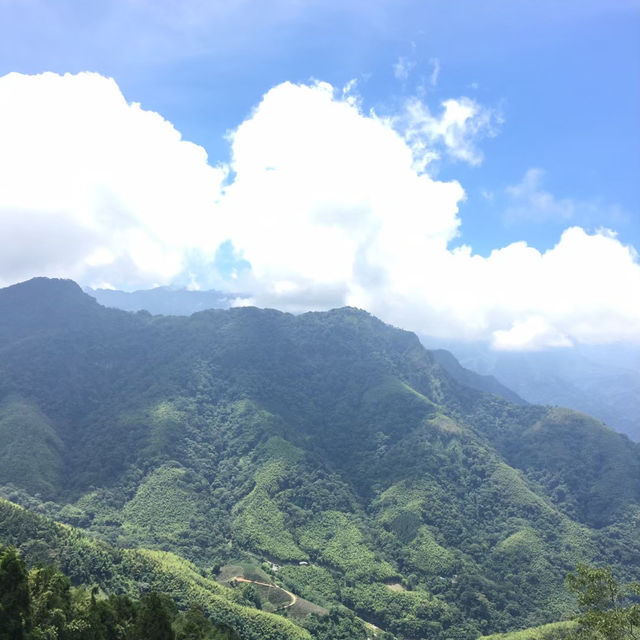 雲林古坑・五元兩角｜竹林祕境輕旅行