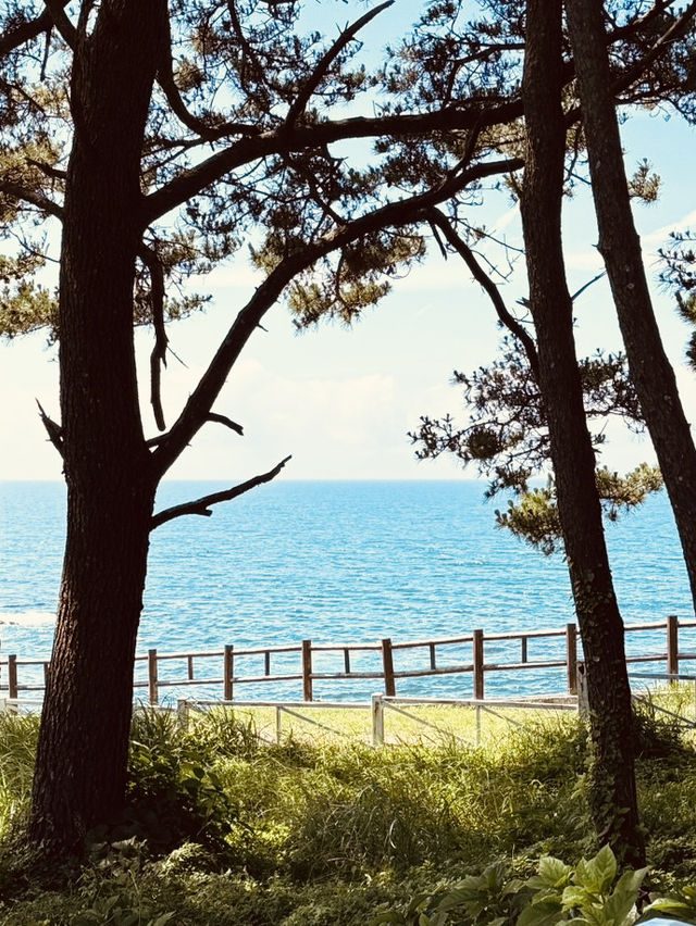 A Secluded Coastal Nook of Untamed Beauty