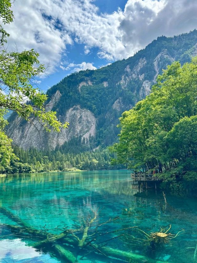 Beautiful Jiuzhaigou: Nature’s Painted Valley