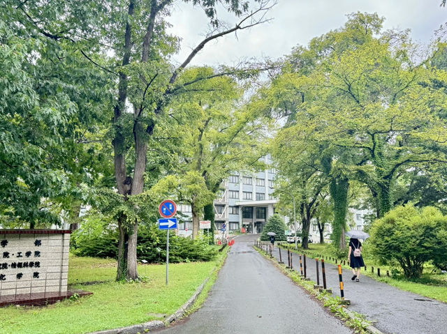 北海道大學|城市中的綠意書卷風景 北海道大學|城市中的綠意書卷風景