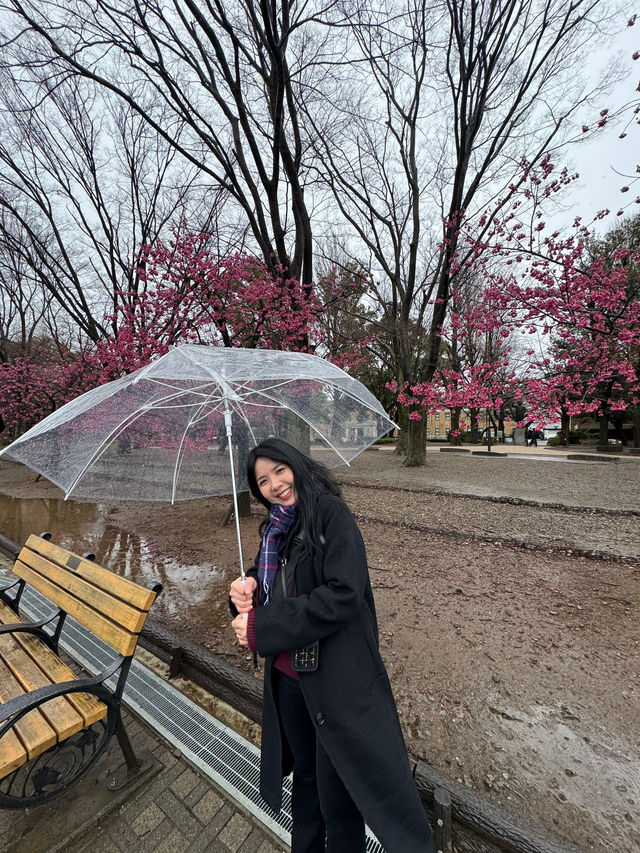 🇯🇵 Ueno Park