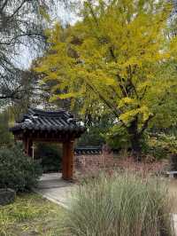 ๊ณ์ ์ด ๋ด๊ธด ์๋ฆ๋ค์ด ์ ์ & ํธ์๋ฏธ์ ๊ด & ๊ท์ฌ์ด ํ๋ค๋ฅผ ๋ณผ ์ ์๋ ์ฉ์ธ ์๋ฒ๋๋ ํ๋ค์๋