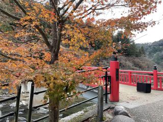 Korankei and Koran Bridge, Toyota City, Aichi Prefecture: "A spectacular bridge enveloped in fiery red in autumn"