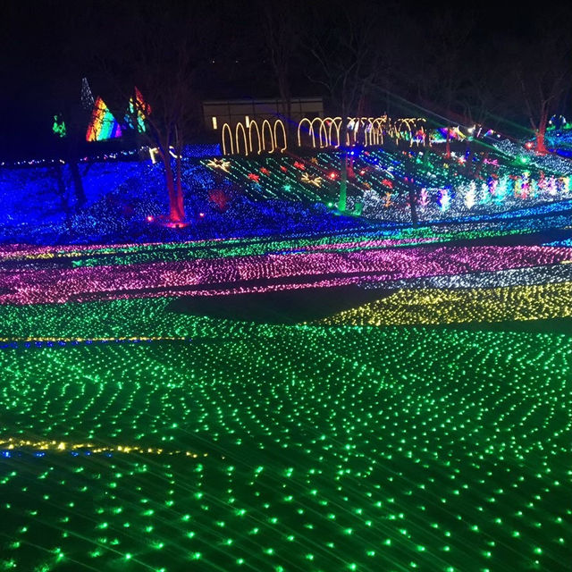 東京ドイツ村