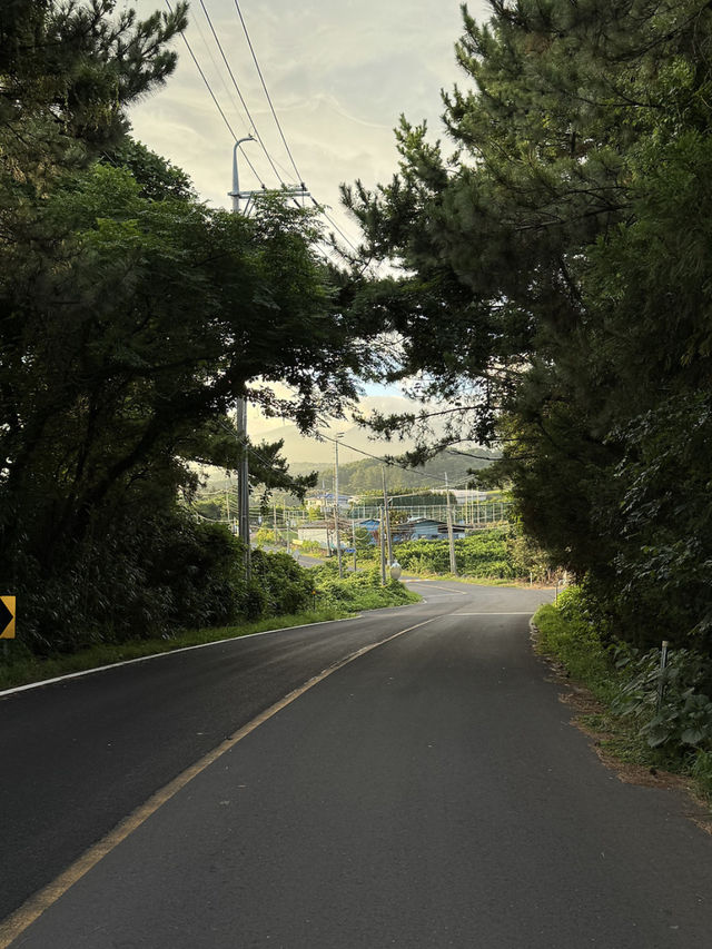 3박 4일 제주 – 바다, 오름, 감성 숙소에서 보내는 쉼표 같은 시간