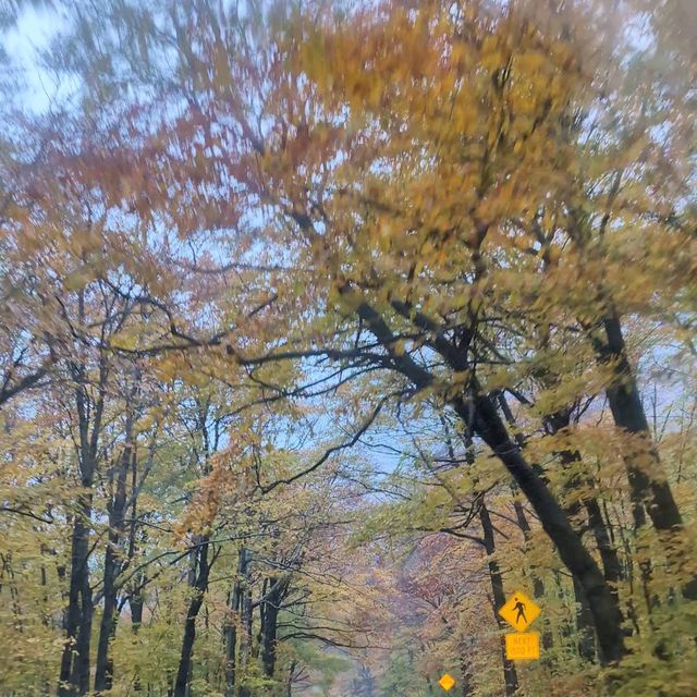 Smugglers’ Notch – “Autumn’s Secret Tunnel”