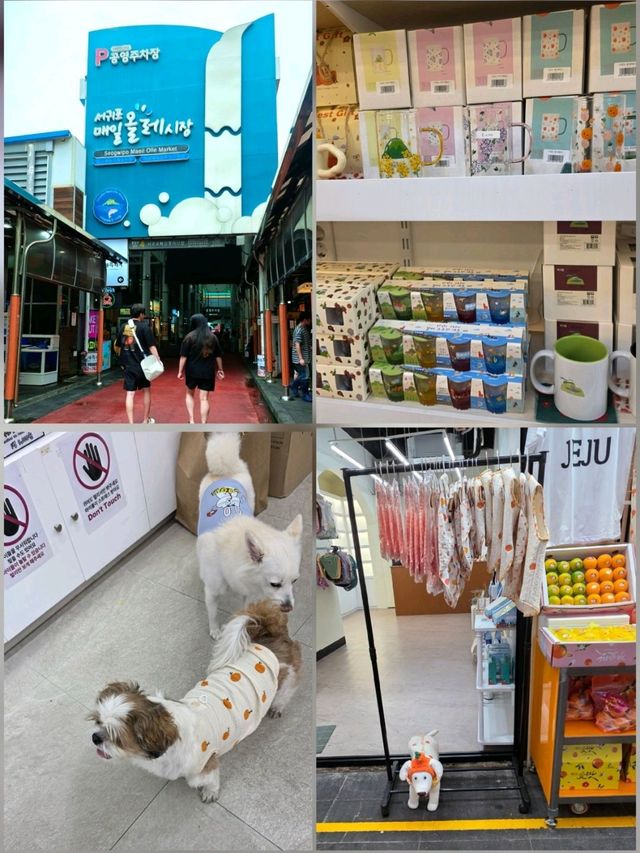 濟州島傳統市場✨️西歸浦每日偶來市場  濟州島傳統市場✨️西歸浦每日偶來市場