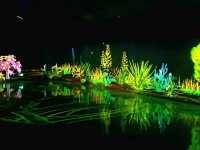 Enchanted forest light show at the Greenhouse