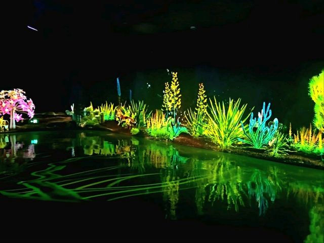 Enchanted forest light show at the Greenhouse