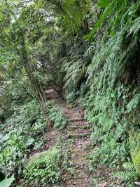 Refreshing Hike Along Hushan Nature Trail