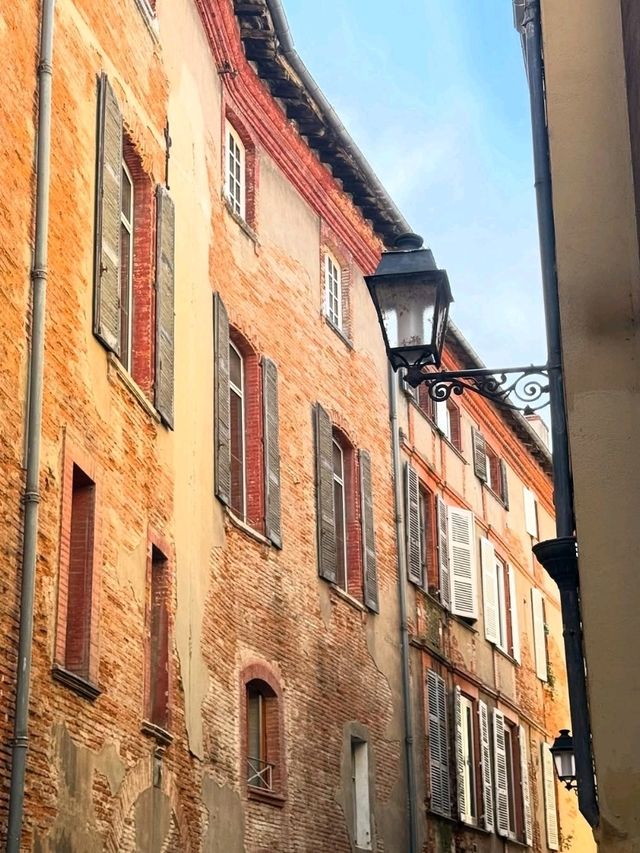 🌸🎨 Toulouse: The Pink City with a Soulful Southern Charm 🌸🎨 Toulouse: The Pink City with a Soulful Southern Charm