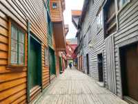 Discovering the Scenic Beauty of Bergen City
