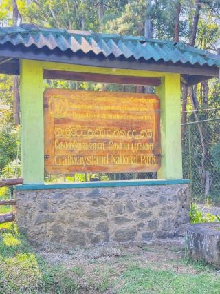 🌿 Galway’s Land National Park – Sri Lanka’s Hidden Highland Wilderness