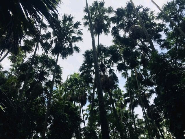 📍คำชะโนด จ.อุดรธานี