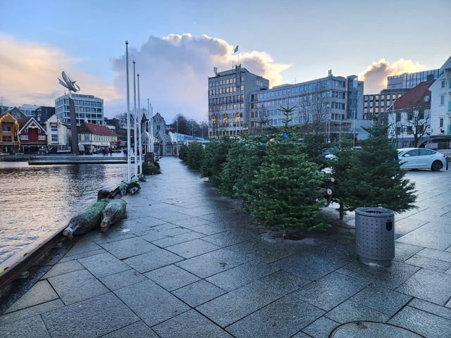 Fjord Views and Urban Charm in Stavanger