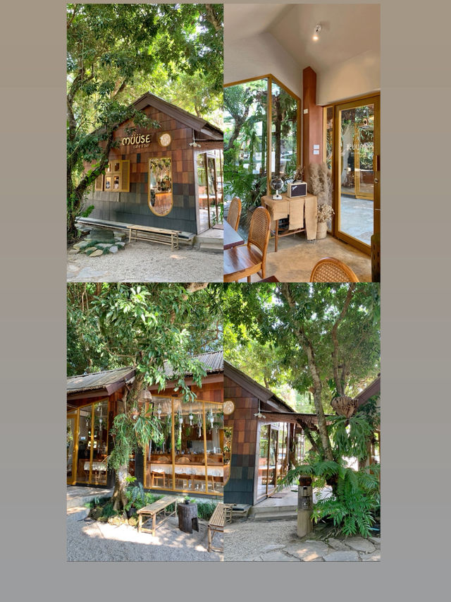 คาเฟ่เปิดใหม่ เชียงราย MUUSE CAFE&BAR CHIANGRAI