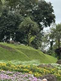 🌸🏞️ ดอยตุง เชียงราย – ธรรมชาติ งดงาม และอบอุ่นใจ
