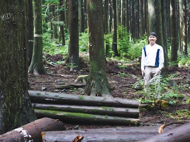 [제주도] 제주 사려니숲길 🌿🌲