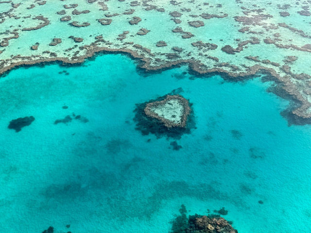 【Hamilton Island｜大堡礁的夢幻心臟】