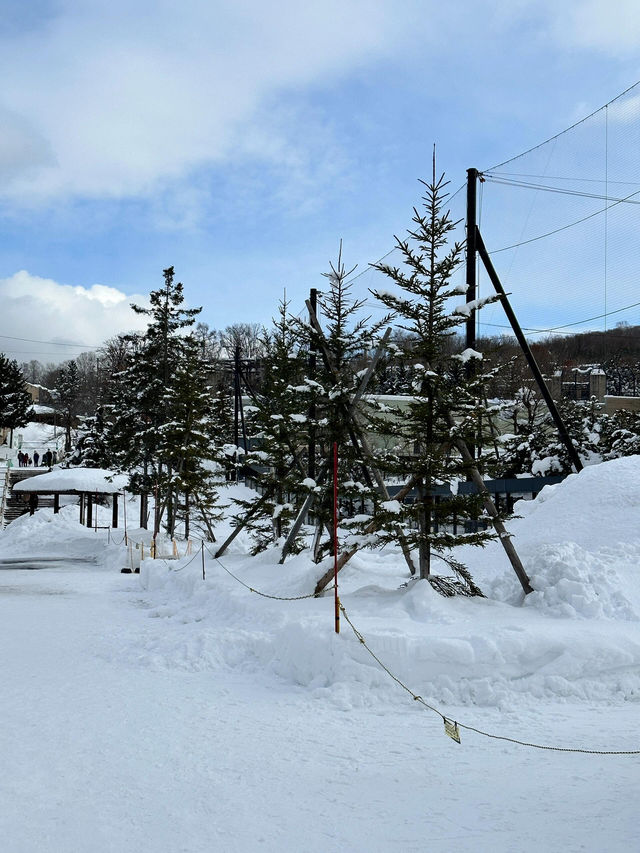 【旭川動物園｜北海道的雪國奇趣樂園】